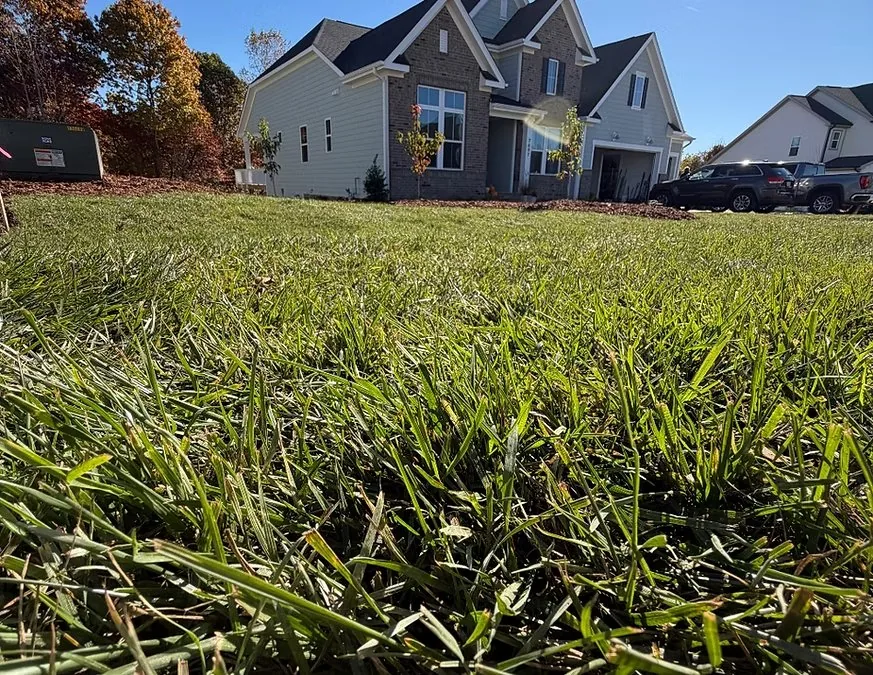 Irrigation & Sprinklers