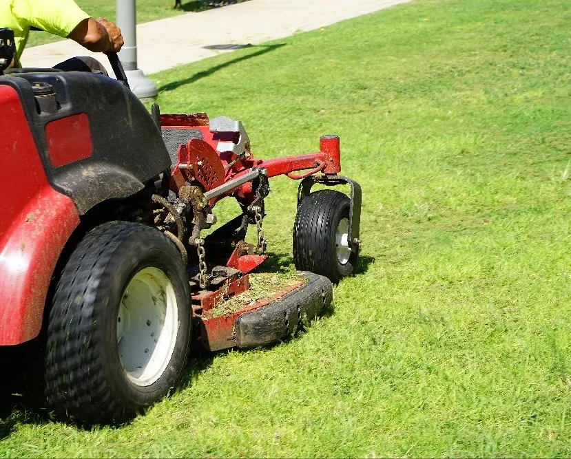 Lawn Renovation