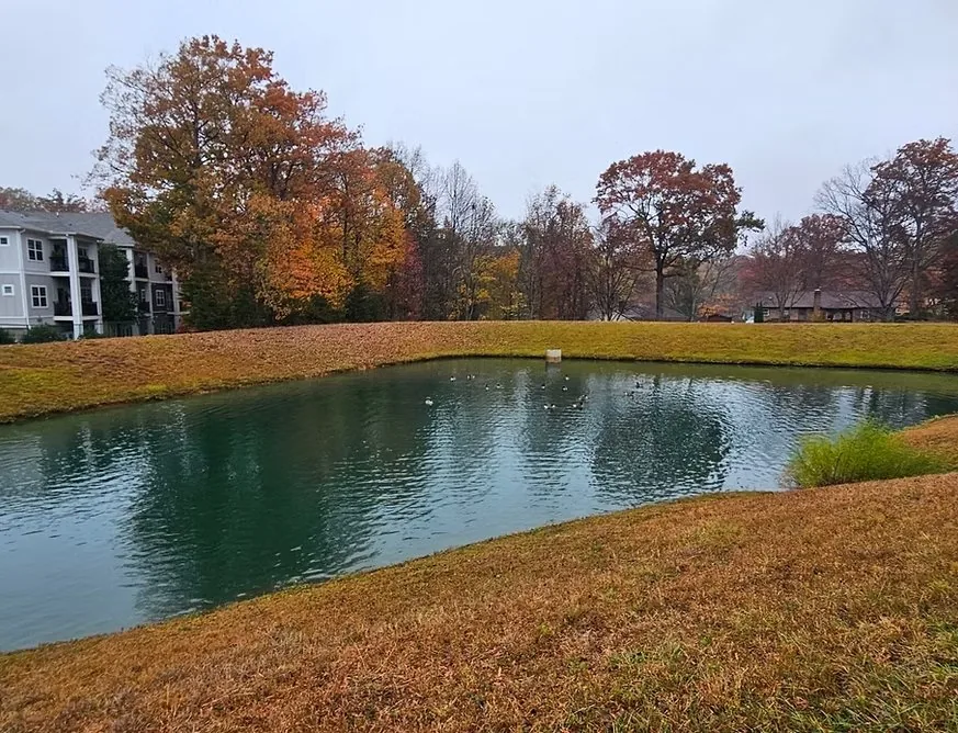Retention Ponds