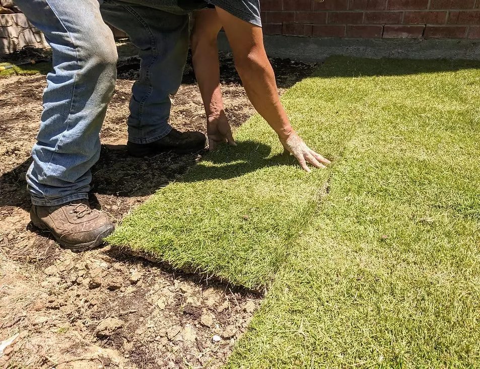 Sod Installation